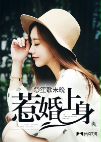 �ǻ�����