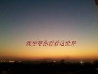 ������㿴�����������