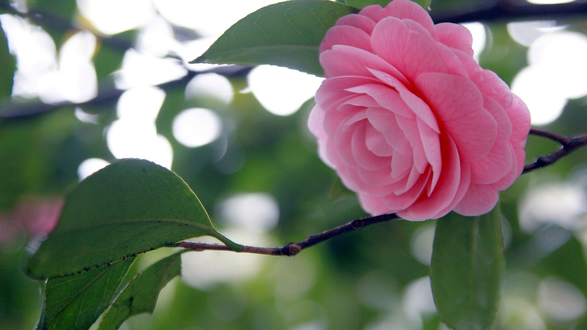 ��������ʱ����