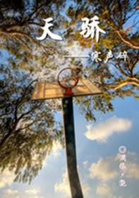 �콾--���������