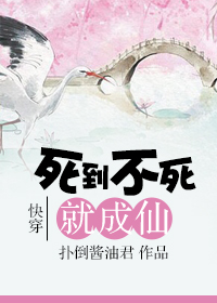 �촩 ���������ͳ���