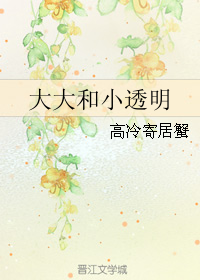 ����С͸��