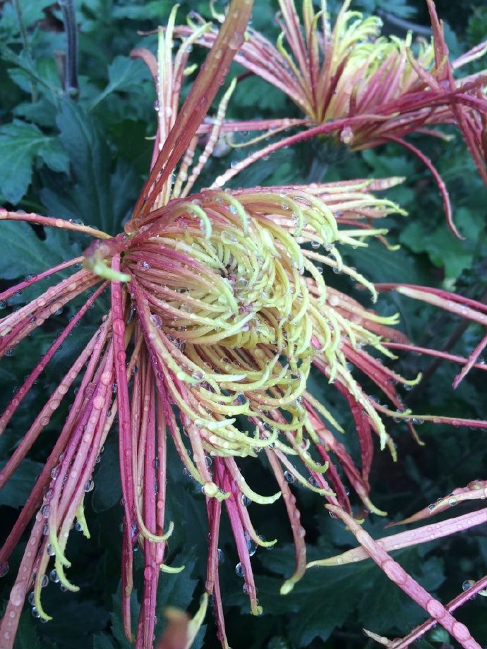 ����֮�Ұ������ӷ���