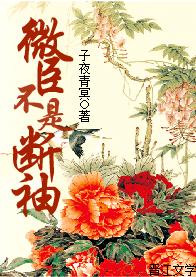 ΢�����Ƕ������