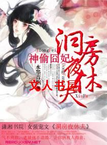 ��͵����,����ҹ�ݷ����