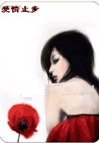 ����ֹ��