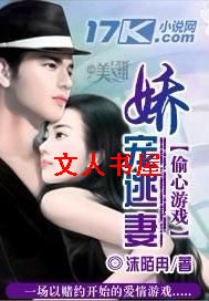 ͵����Ϸ:��������