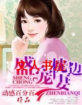 ʢ�������޷���