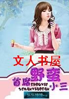 ��ϯҰ��С��