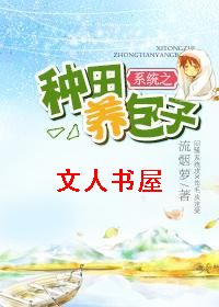 ϵͳ֮����������