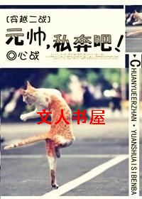 [��Խ��ս]Ԫ˧,˽���ɣ�