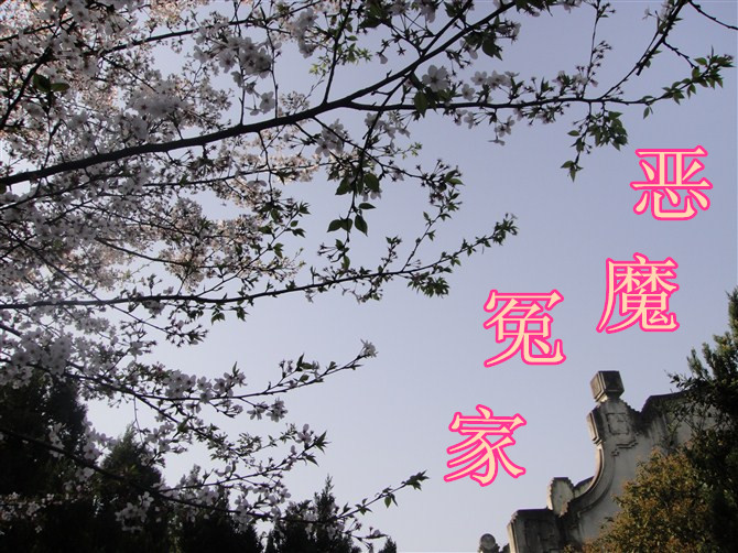 ��ħԩ�ҷ���