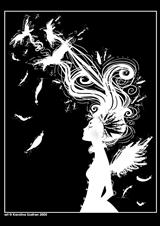 �ź�Ħ���ֵ�����