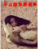 ���Է���������