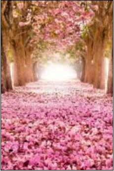 ������˵�İ�