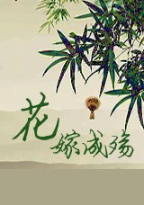 ���޳������