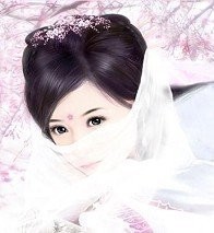 ˫��������