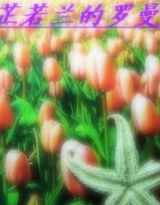 ͡������������ʷ����