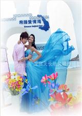 ��ɫ����