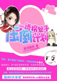 �չհ���ѹ���ƻ�