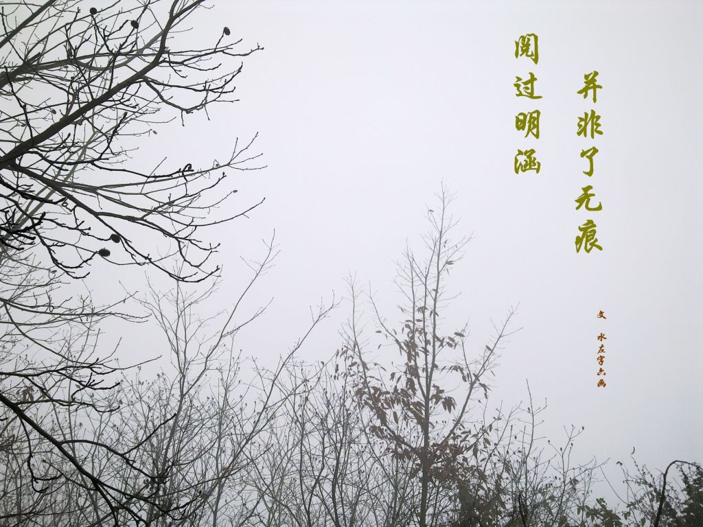 �Ĺ������������޺�