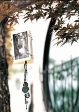 ¹����Ȥ����