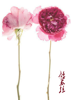 (��ͬ��)[��]������ŷ���