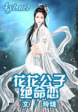 �������Ӿ�����