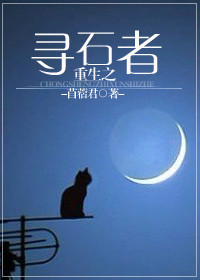 ����֮Ѱʯ��