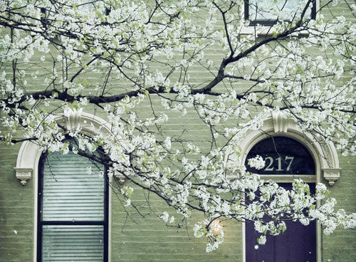 Ը�㱻�����������Դ�����