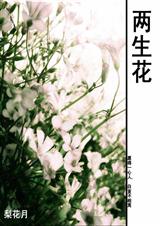 ������-��Խ���幬����