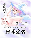 ���������Ϲ�����