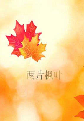 ��Ƭ��Ҷ