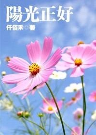 �������÷���