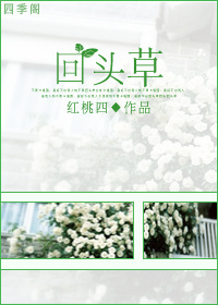 ��ͷ�ݷ���