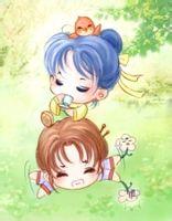 ��������ֻ�г���