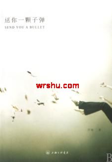 ����һ���ӵ�